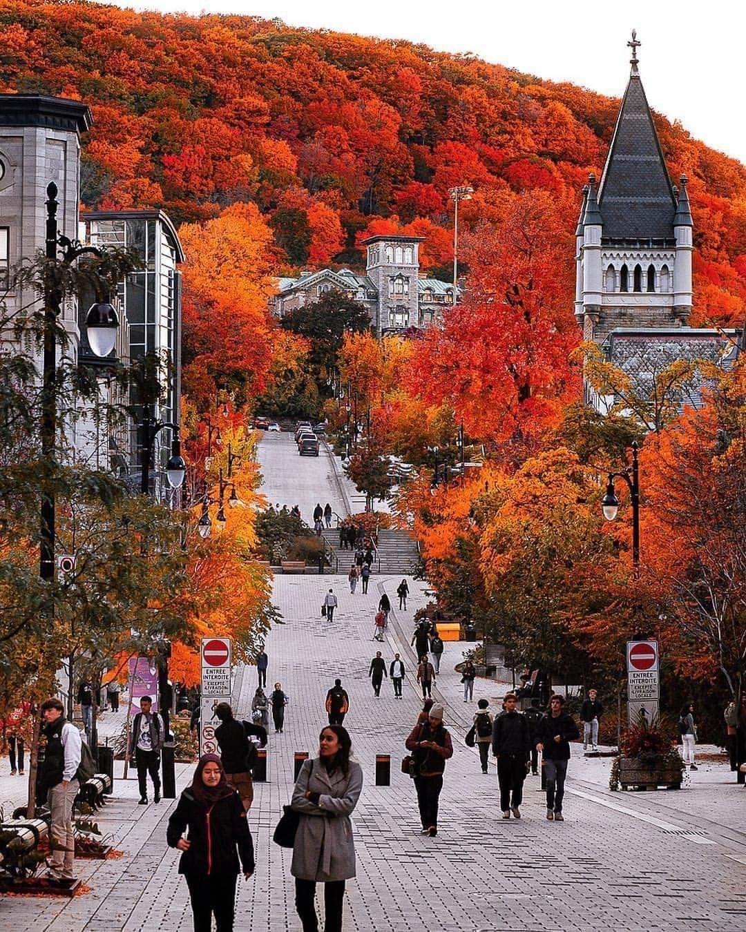 Fall colors in Montreal, Canada.jpg
